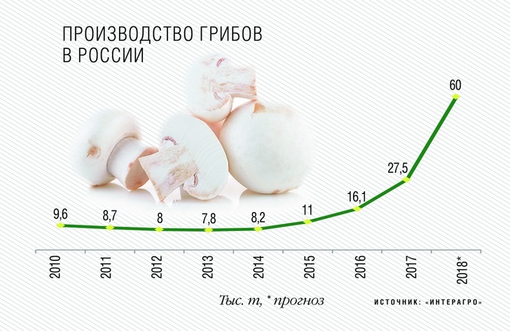 Производство грибов